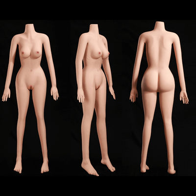 Anpassbarer Sexpuppen Körper 158cm Größe schlanke Körperform und kleine Brüste elastische weiche Haut-MARCY
